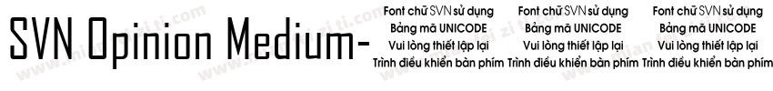 SVN Opinion Medium字体转换